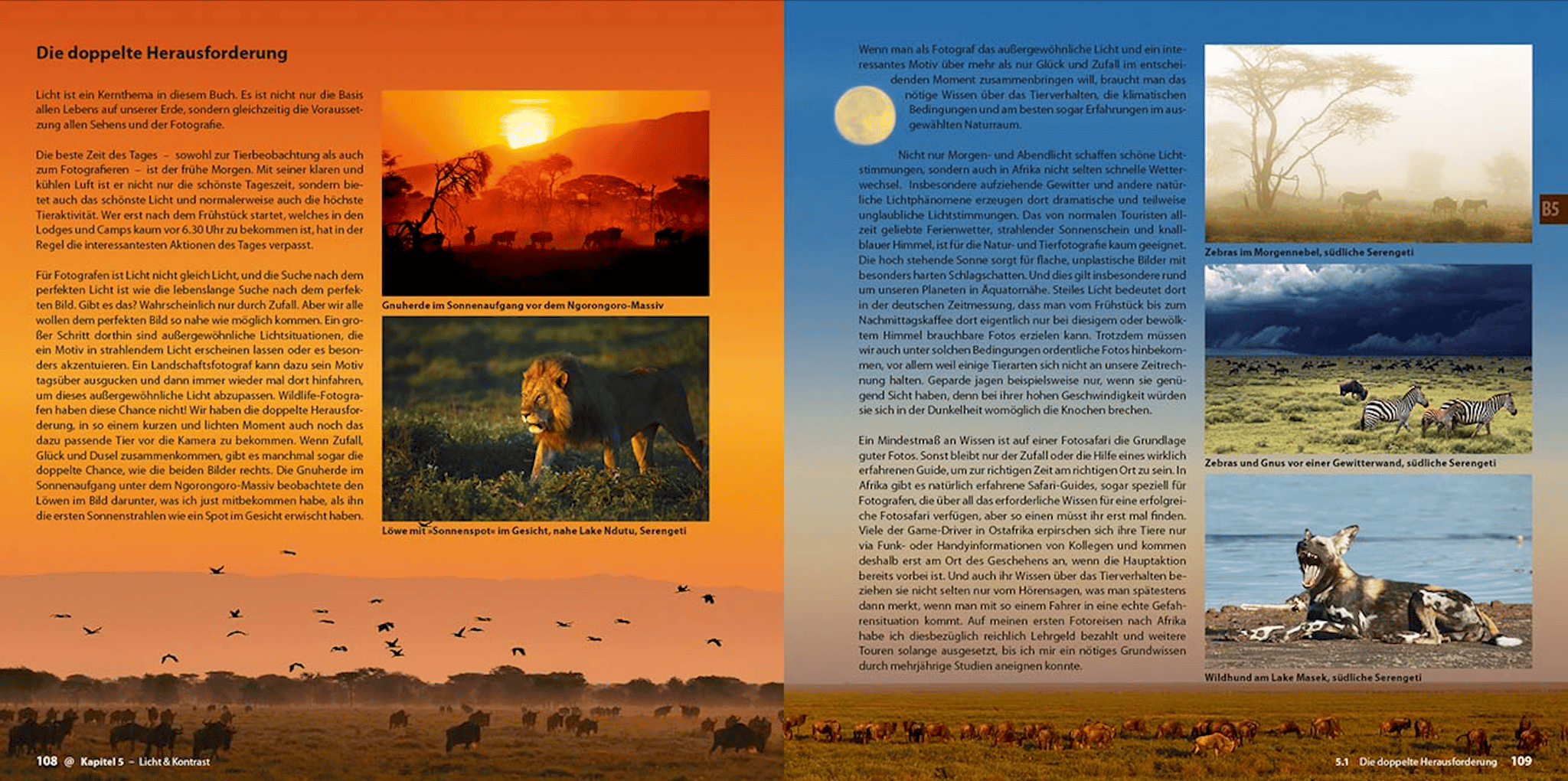 Abenteuer Safari Fotografie, demipress Verlag