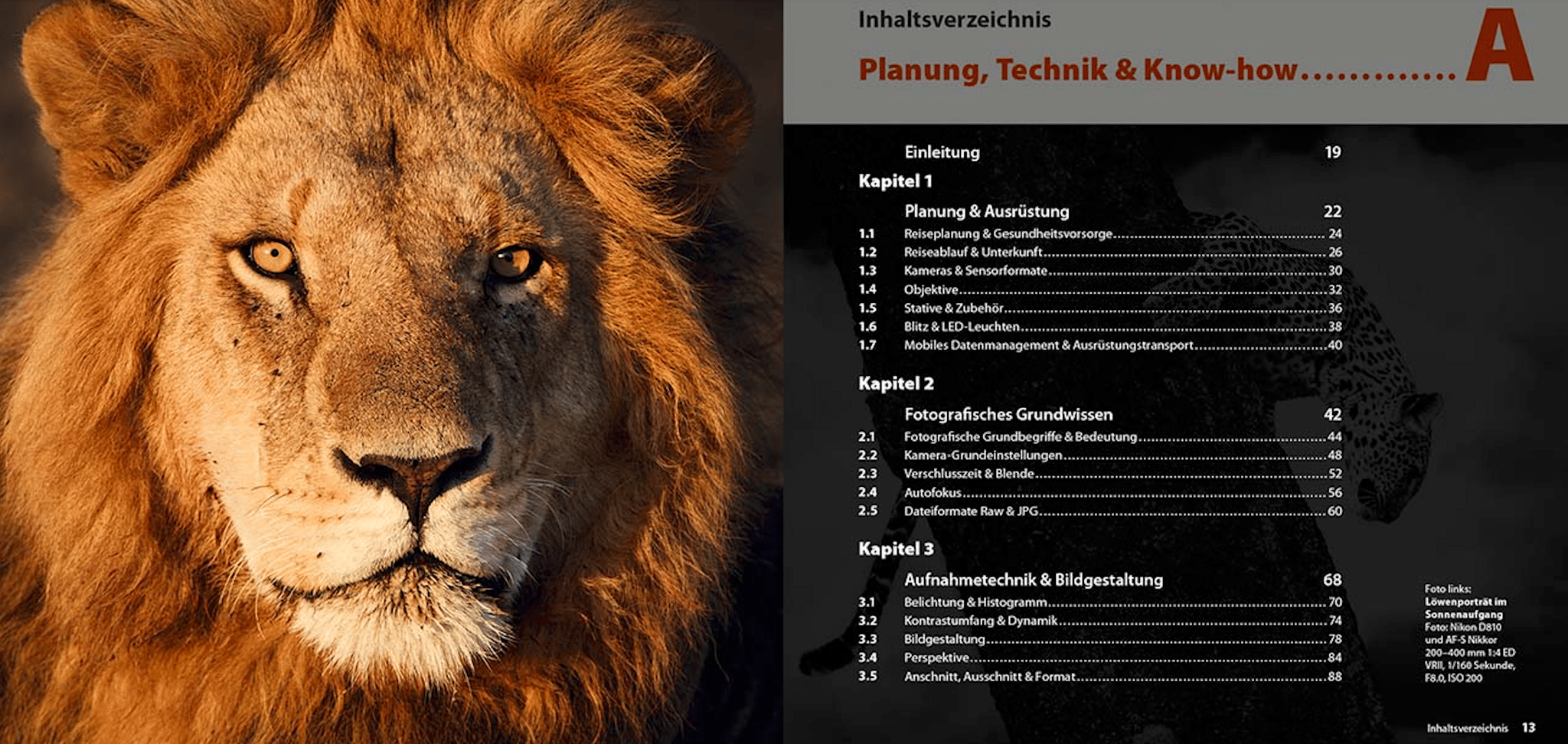 Abenteuer Safari Fotografie, demipress Verlag