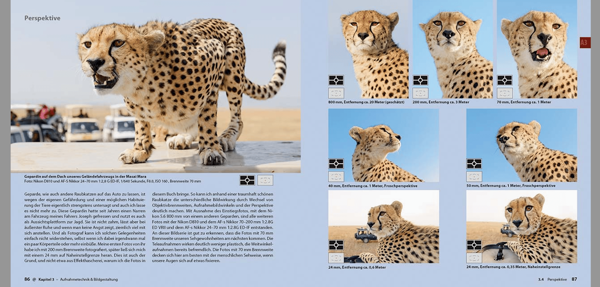 Abenteuer Safari Fotografie, demipress Verlag