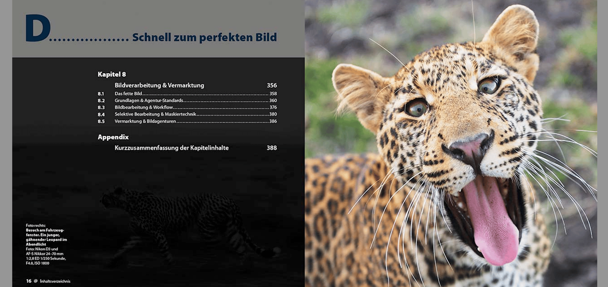 Abenteuer Safari Fotografie, demipress Verlag