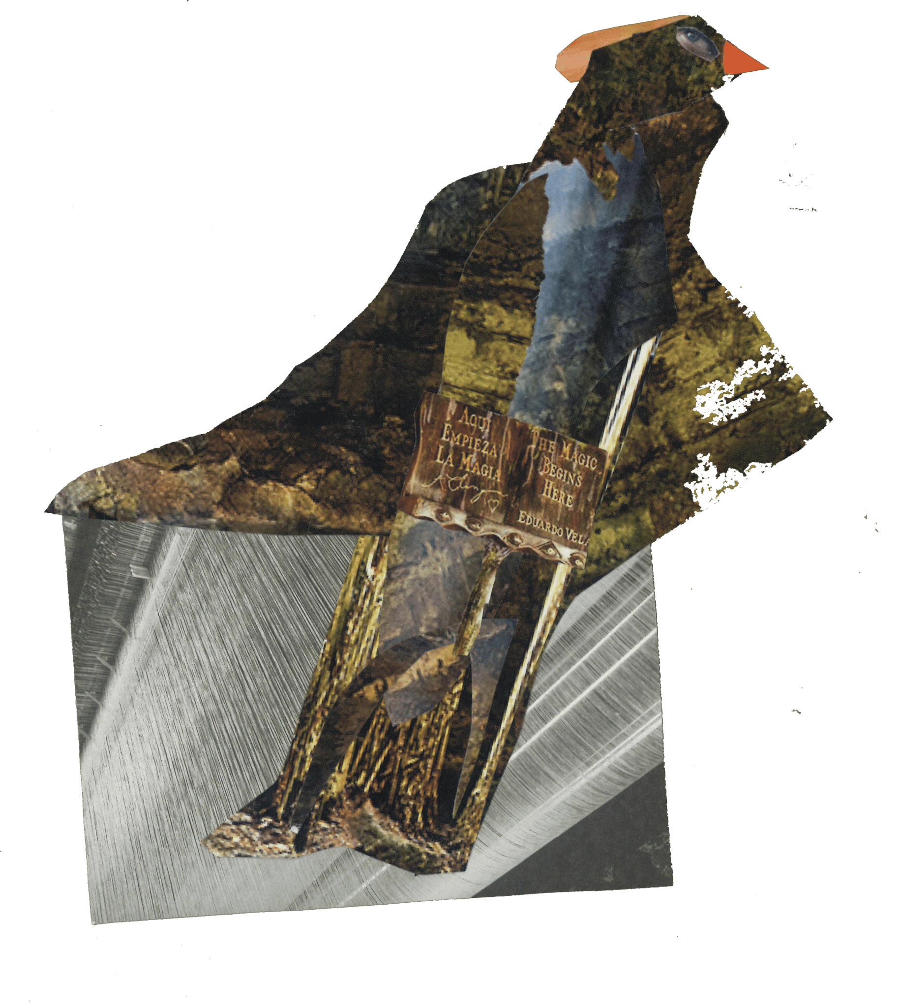 Collage by Eron Boyd