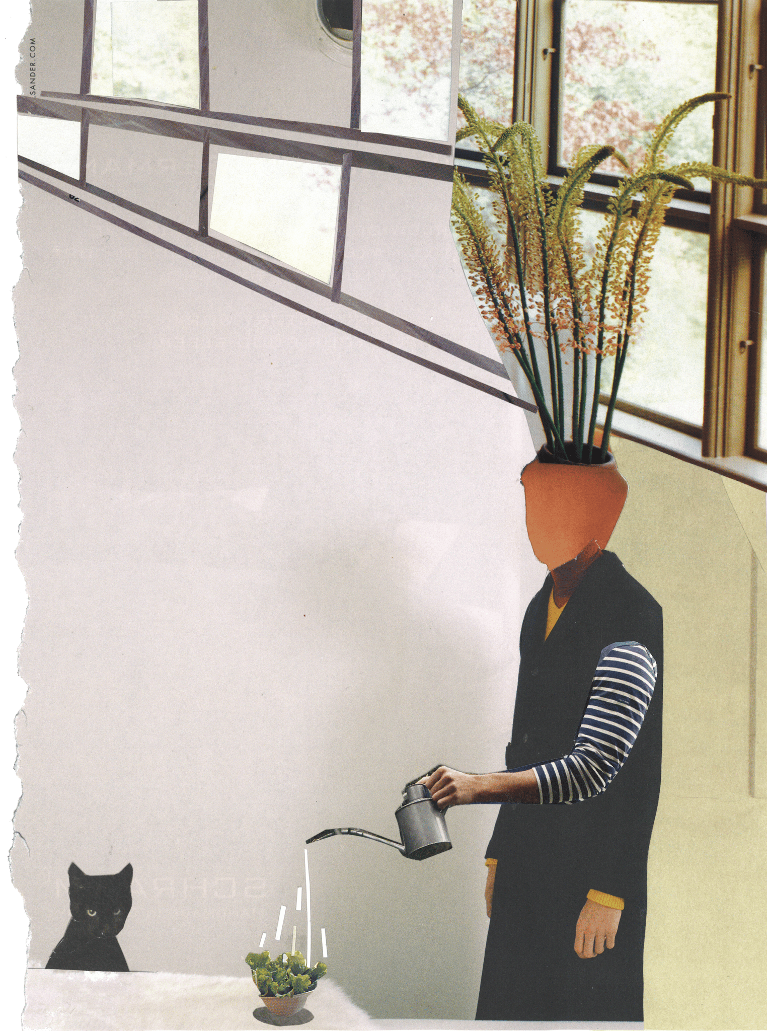 Collage by Sae Kimura