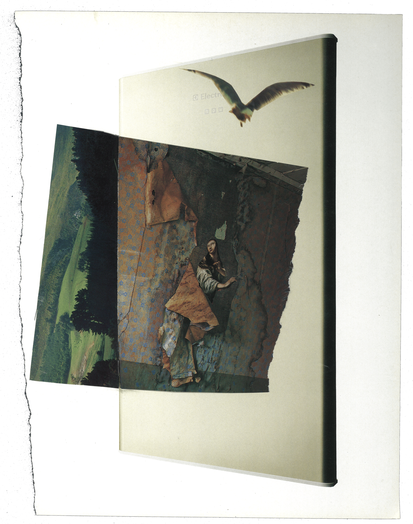 Collage by deborah harris