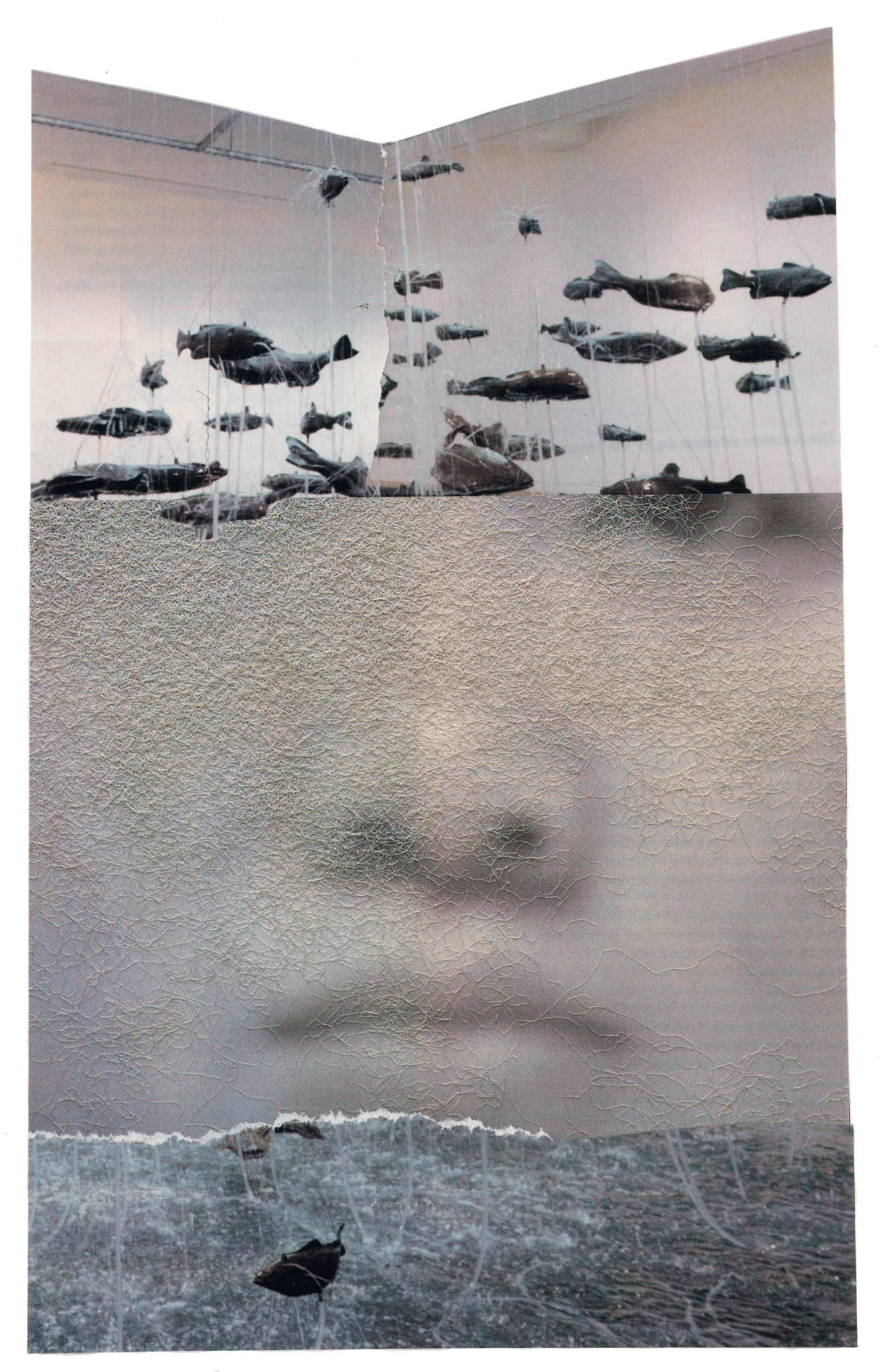 Collage by deborah harris