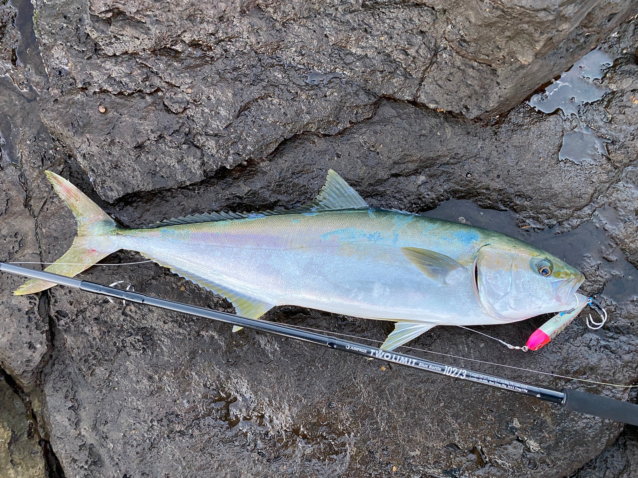 【 美品 】ジャンプライズ ツーリミット ブルーバトル 102/5 ロッド TWO LIMIT BlueBattle 102 - JUMPRIZE 公式サイト