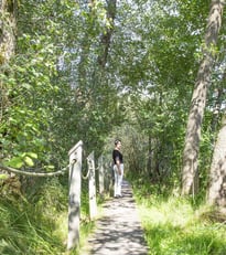 In Obertrum am Rundwanderweg