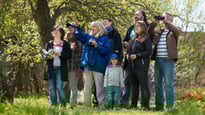 Zahlreiche Exkursionen laden in die Natur ein (Foto: NABU/Sebastian Hennig)