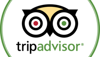 Tripadvisor Icon