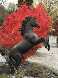 Termine Kurse und Seminare