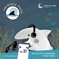 World of Sharks - Save Our Seas Foundation