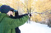Aufruf zur winterlichen Vogelbeobachtung - Die Stunde der Wintervögel 2015. Foto: A. Wolff/NABU