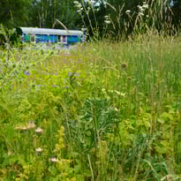 Im Naturerlebnisgarten (M.K.)