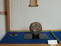 Premio AIAS: Flower Stone (California) - Amatori Bonsai e Suiseki Genova