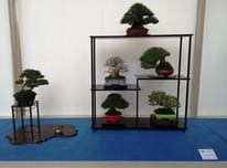 Composizione shohin - Jikan-en - 3° premio chuhin