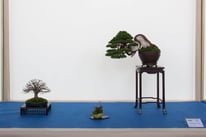 Composizione chuhin - Jikan-en - Targa presidente U.B.I.