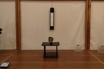 2° Premio: Haku Giko Kou - Bonsai Club Amici del Verde