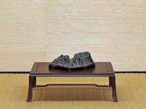 Suiseki - Bonsai do Groane