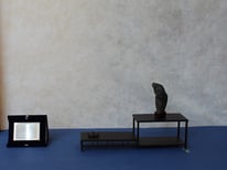 Ass. Arte e Cultura Bergamo Bonsai - Premio Coordinamento Suiseki