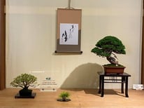 Composizione chuhin - Jikan-en - 2° premio chuhin