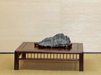 Amatori Bonsai e Suiseki Genova - Premio Coordinamento Suiseki