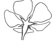 martjezoets Webseite!