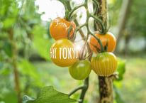 HII TOKYO ホームページ