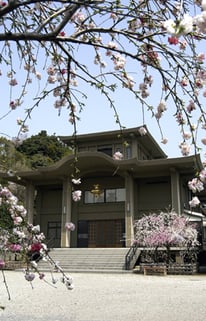 本堂_永代供養墓-東京 小日向 本法寺-東京都文京区のお墓 永代供養墓 法要-