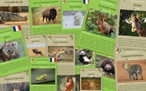 fiches animaux sauvages pedagogiques a telecharger et a imprimer