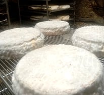 Fromage fermiers locaux