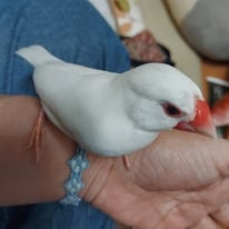 プティ(元ヒメ)ちゃん