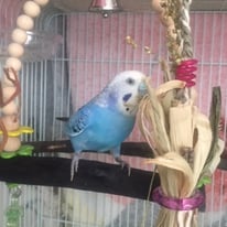 認定PO法人TSUBASA