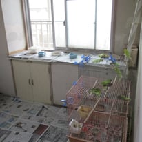 放し飼いになっていた部屋