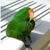 認定NPO法人TSUBASA