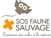 SOS FAUNE SAUVAGE LIMOUSIN