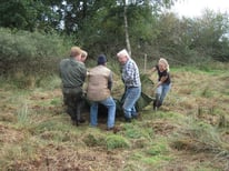 Mit vereinten Kräften erfolgte der Abtransport des Mahdgutes,