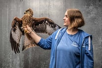 Foto: Andreas Reiner