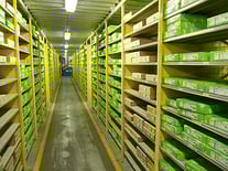 Rayon chez DASIR AUTOPARTS