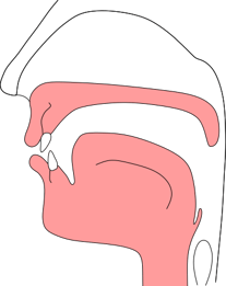 硬い食事時の舌の位置