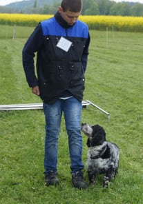 Mirco Schilling mit Billy, Rule 1 Unterordnung