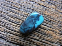 スモーキービズビーターコイズ