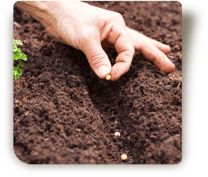 © Steiner Floralmanufaktur.