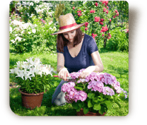 © Steiner Floralmanufaktur.