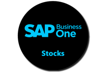 100% Dédié à SAP Business One