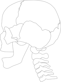 適切な食事による頸椎保護