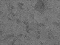 光学顕微鏡観察組織