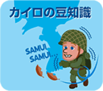 カイロの豆知識