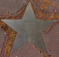 Werner Herzogs Sterns auf dem Boulevard der Stars in Berlin.