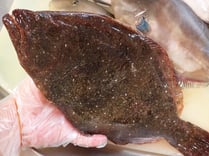 平目　高級寿司　出前　中央区