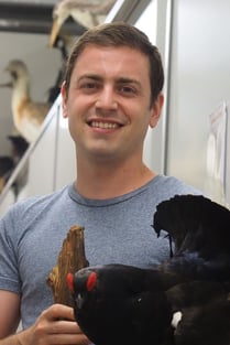 Mathias Romer, Webseite/Aktuar/Kassier