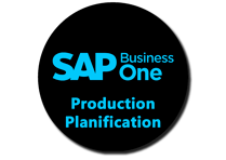 SAP Gold Partner